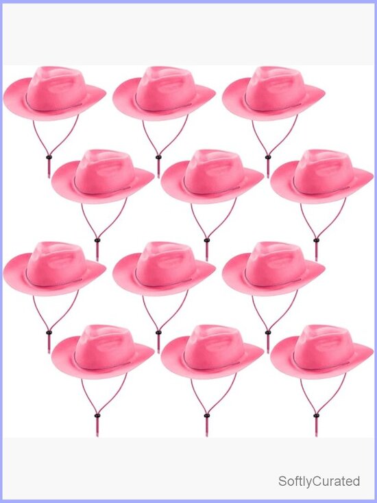12 Pack Plastic Felt Cowboy Cowgirl Hat Set for Western Party Costume main image 4